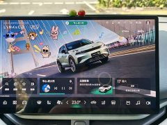 Lynk & Co Geely Lynk & Co 06 EM-P 2023 EM-P 126 Long Range Halo - ფოტო 20