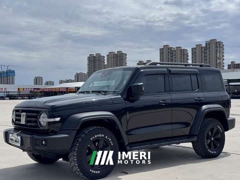 2023 Tank 300 Off-Road Edition 2.0T Challenger - ავტომობილი ჩინეთიდან