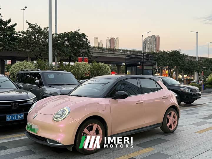 ORA Good Cat 2021 400km Standard Range Athena Edition Ternary Lithium - ავტომობილი ჩინეთიდან