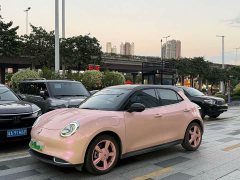ORA Good Cat 2021 400km Standard Range Athena Edition Ternary Lithium - ფოტო 1