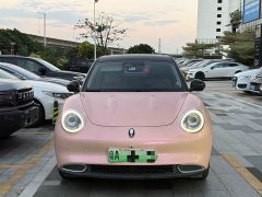 ORA Good Cat 2021 400km Standard Range Athena Edition Ternary Lithium - ფოტო 2