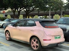 ORA Good Cat 2021 400km Standard Range Athena Edition Ternary Lithium - ფოტო 3
