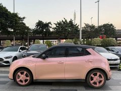ORA Good Cat 2021 400km Standard Range Athena Edition Ternary Lithium - ფოტო 5