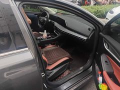 Changan Eado Enjoy Plus Blue Whale NE 1.4T GDI DCT Luxury Edition - ფოტო 8