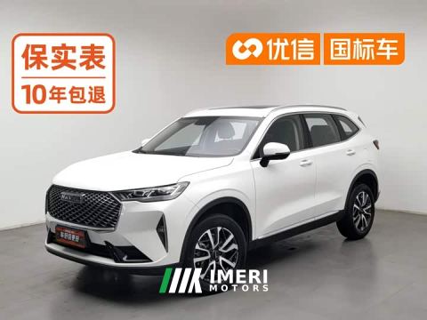 2022 Haval H6 Third Generation 1.5T Automatic Two-Wheel Drive Pro