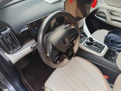 BYD Song Pro New Energy 2024 DM-i 71KM Glory Edition Pilot - ფოტო 6