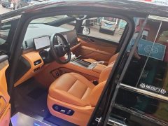 Great Wall WEY Shanshan New Energy Four-Wheel Drive Shanshan 8 - ფოტო 9