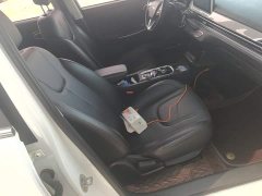 Yuehu 32.85kWh FWD Sprite Edition - photo 8