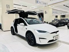 Tesla Model X 2023 Dual Motor All-Wheel Drive - ფოტო 1