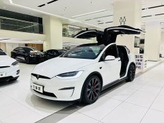 Tesla Model X 2023 Dual Motor All-Wheel Drive - ფოტო 10