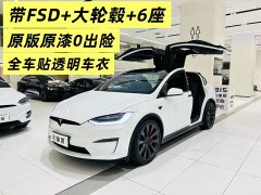 Tesla Model X 2023 Dual Motor All-Wheel Drive - ფოტო 2