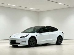 Tesla Model 3 2022 Rear-Wheel Drive - ფოტო 2