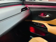 Lexus ES 200 Premium Edition - ფოტო 20