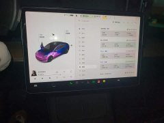 Tesla Model 3 Standard Range RWD Upgrade 3D6 - ფოტო 8
