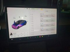 Tesla Model 3 Standard Range RWD Upgrade 3D6 - ფოტო 9