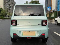 Geely Panda Mini 200km Endurance Edition - ფოტო 10