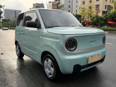 Geely Panda Mini 200km Endurance Edition - ფოტო 3