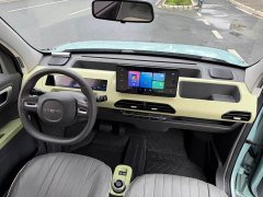 Geely Panda Mini 200km Endurance Edition - ფოტო 8