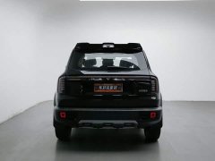 Great Wall Dachshund 1.5T DCT Border Collie Edition - ფოტო 4
