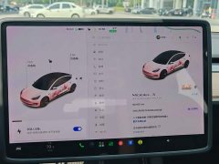 Tesla Model 3 Standard Range RWD Upgrade - ფოტო 10