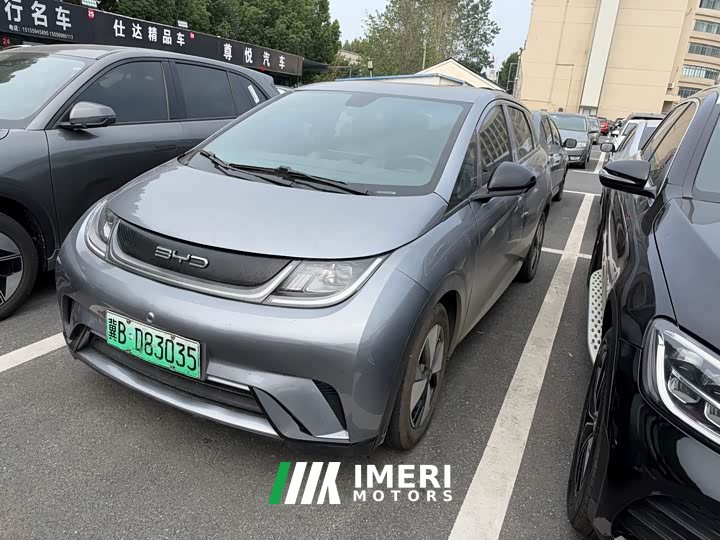 BYD Dolphin 420km Freedom Edition - ავტომობილი ჩინეთიდან