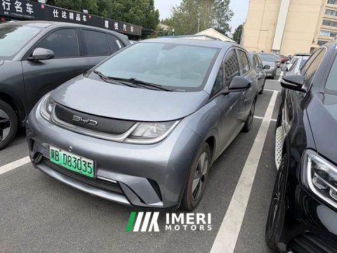 2023 BYD Dolphin 420km Freedom Edition - ავტომობილი ჩინეთიდან