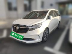 Buick GL8 ES Lu Zun 653T Premier - ფოტო 1