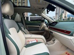 ORA Good Cat 2024 401km Luxury - ფოტო 10