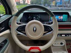 ORA Good Cat 2024 401km Luxury - ფოტო 17