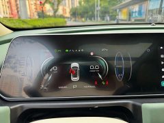 ORA Good Cat 2024 401km Luxury - ფოტო 18
