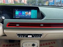 ORA Good Cat 2024 401km Luxury - ფოტო 19