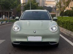 ORA Good Cat 2024 401km Luxury - ფოტო 2