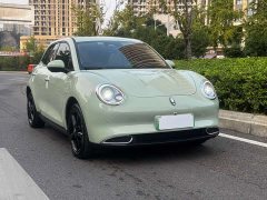 ORA Good Cat 2024 401km Luxury - ფოტო 3