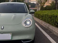 ORA Good Cat 2024 401km Luxury - ფოტო 4
