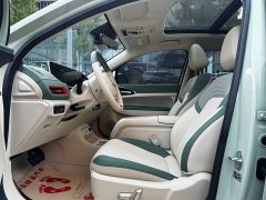 ORA Good Cat 2024 401km Luxury - ფოტო 5