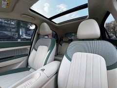 ORA Good Cat 2024 401km Luxury - ფოტო 8