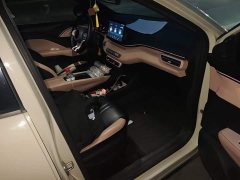 BYD Seagull Freedom Edition - ფოტო 8