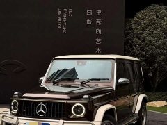 Mercedes-Benz Mercedes-AMG G 63 - ფოტო 5