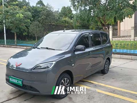 2024 Wuling Hongguang New Energy Pure Electric 300KM Standard