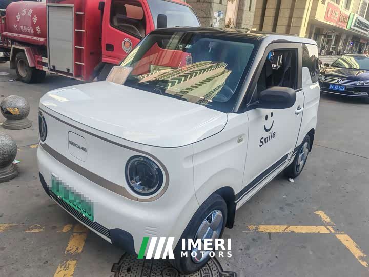 Geely Panda Mini 200km Endurance Edition - ავტომობილი ჩინეთიდან