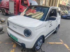 Geely Panda Mini 200km Endurance Edition - ფოტო 1