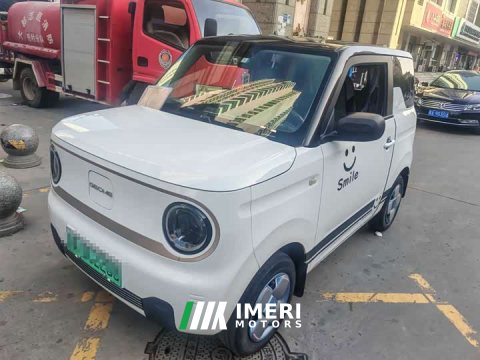 2023 Geely Panda Mini 200km Endurance Edition - ავტომობილი ჩინეთიდან