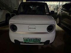 Geely Panda Mini 200km Endurance Edition - ფოტო 2