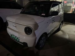 Geely Panda Mini 200km Endurance Edition - ფოტო 3