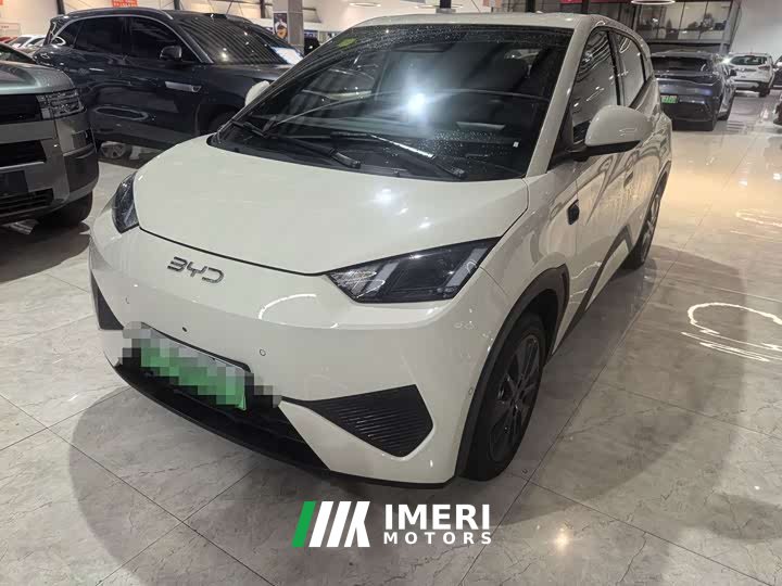 BYD Seagull 305km Freedom Edition - ავტომობილი ჩინეთიდან