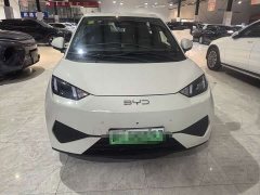 BYD Seagull 305km Freedom Edition - ფოტო 2