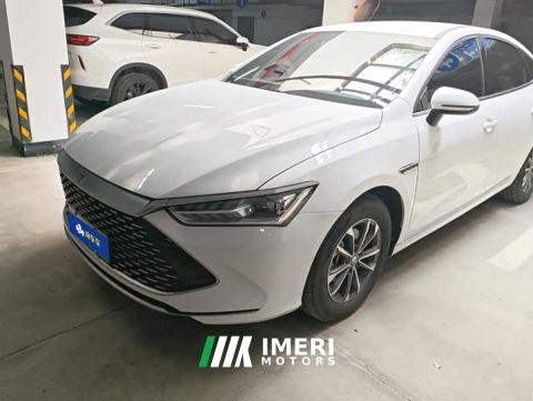 2024 BYD Qin PLUS Glory Edition DM-i 55KM Leading