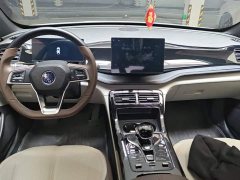 BYD Qin PLUS Glory Edition DM-i 55KM Leading - ფოტო 12