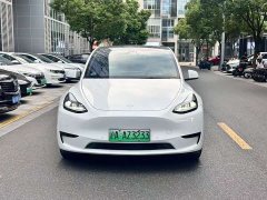 Tesla Model Y Rear-Wheel Drive - ფოტო 2