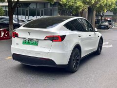 Tesla Model Y Rear-Wheel Drive - ფოტო 7